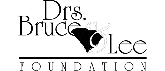 Drs Bruce and Lee Foundation
